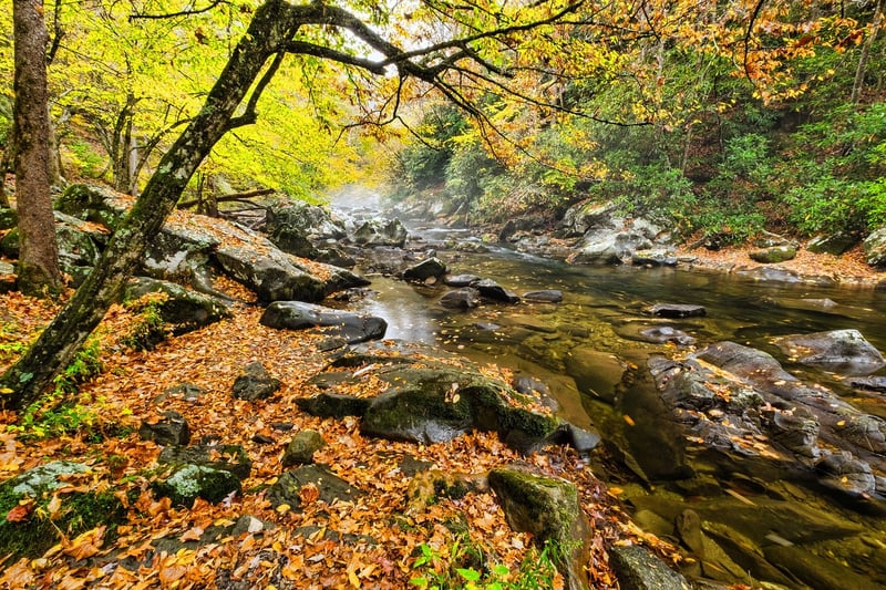 Babbling Brooks