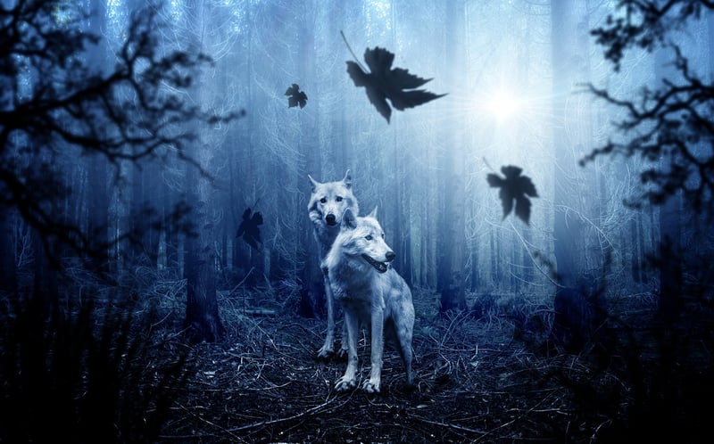 Moonlight Accents